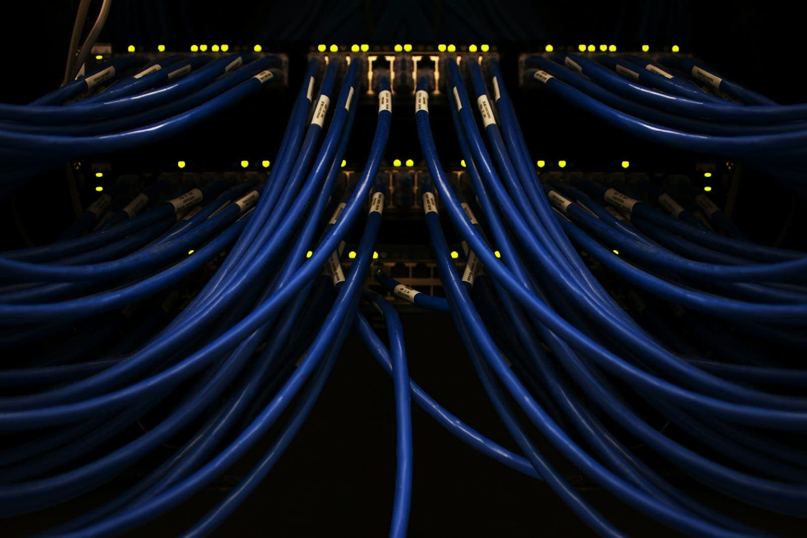 Blue network cables neatly patched into a switch