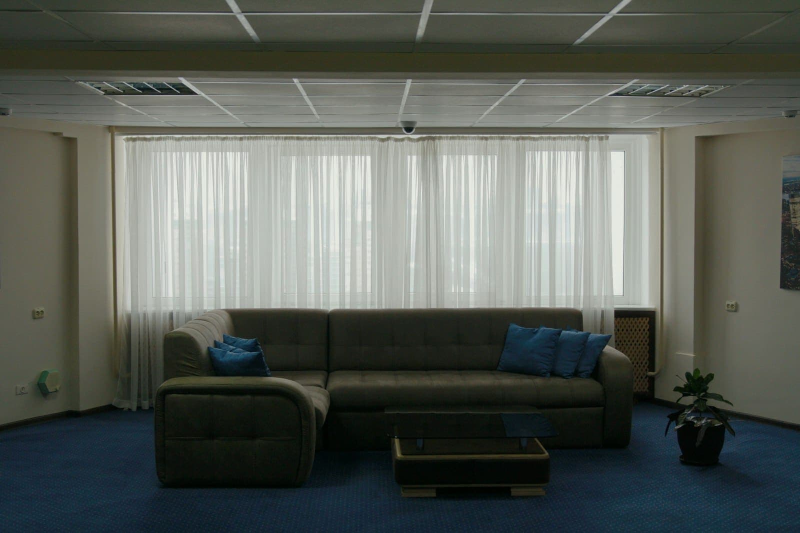 Living room with full-height sheer curtains across a wide window
